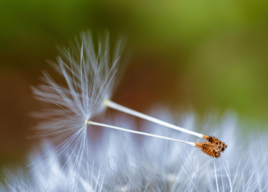 Leben in wachsenden Ringen